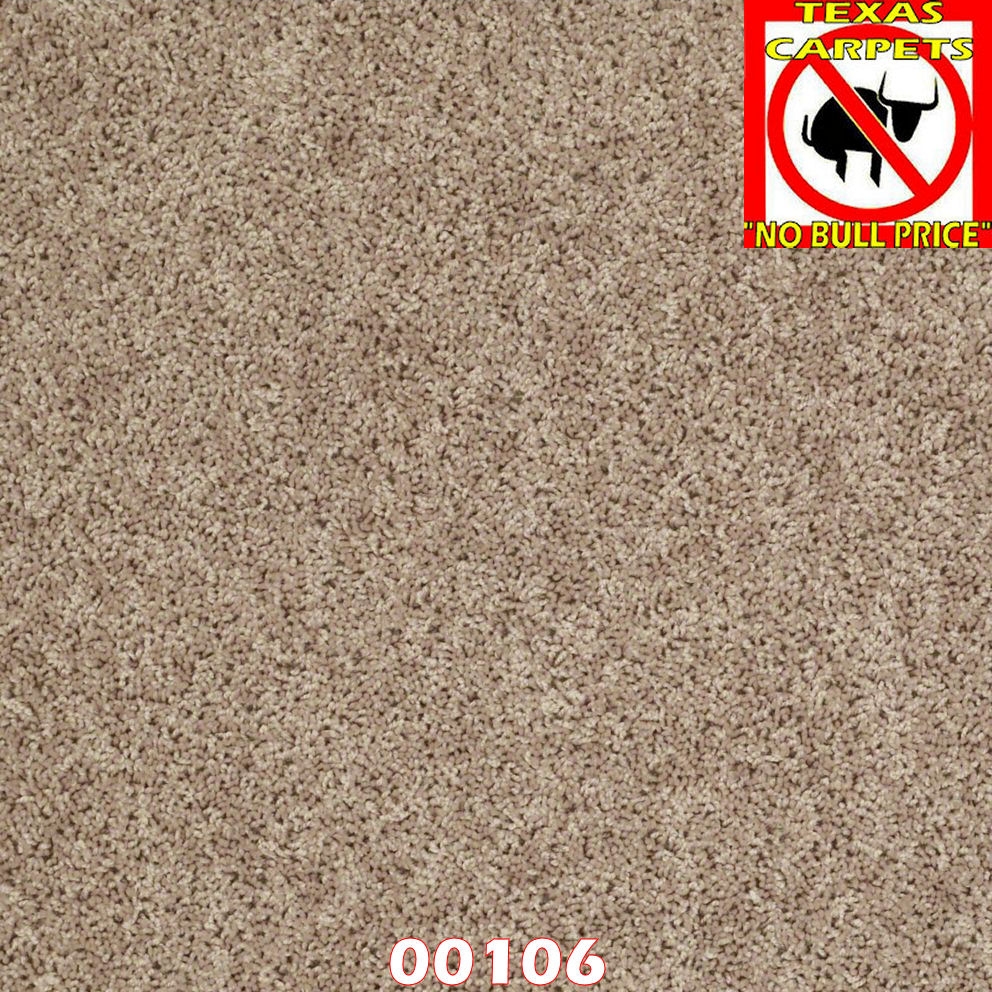 Ride It Out Shaw Texas Carpets