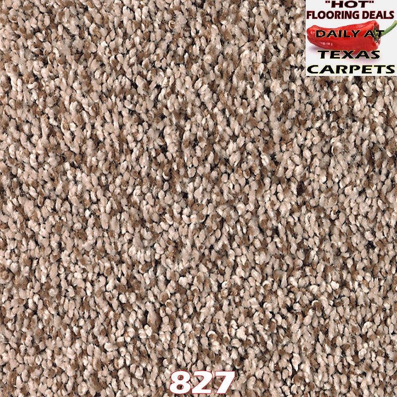 Soft Dimensions Mohawk Texas Carpets