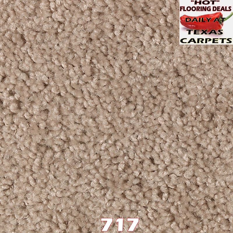 Easy Decoration Mohawk Texas Carpets