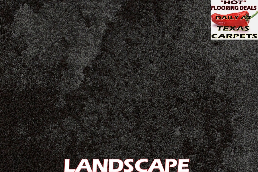 Impasto Bentley Mills Texas Carpets