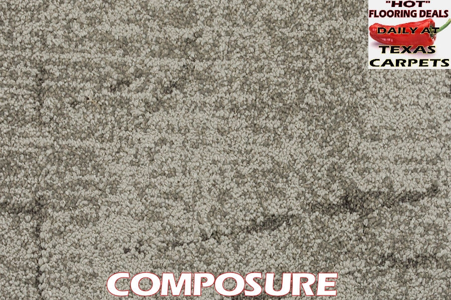 Ritual Bentley Mills Texas Carpets