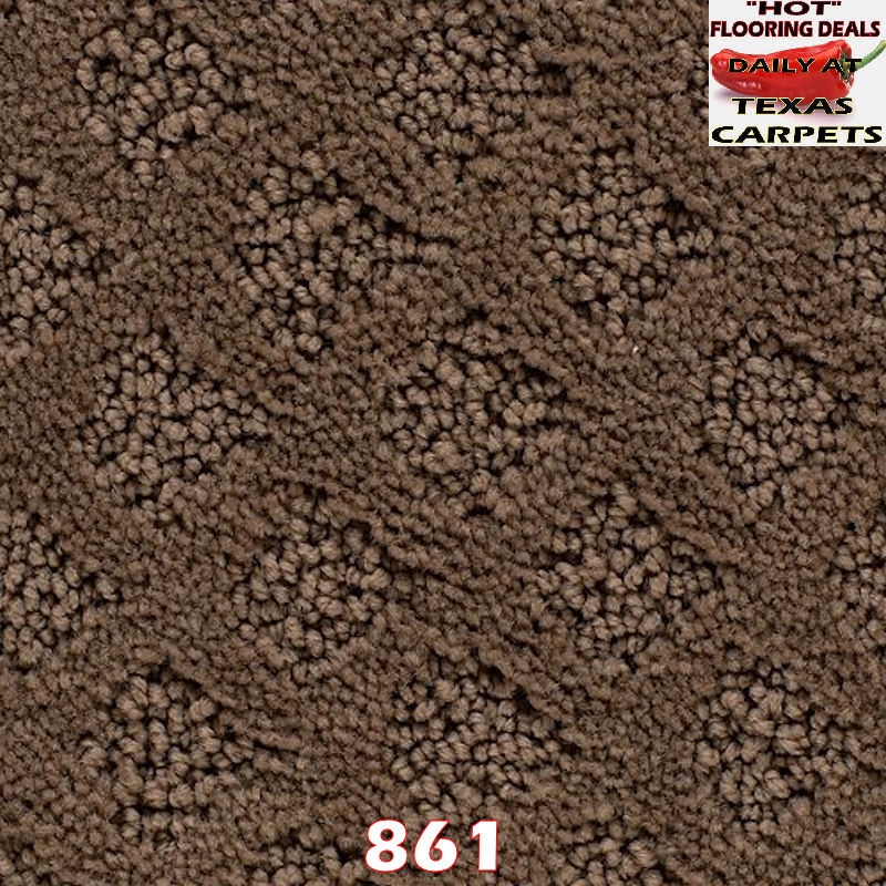 Classic Style Mohawk Texas Carpets