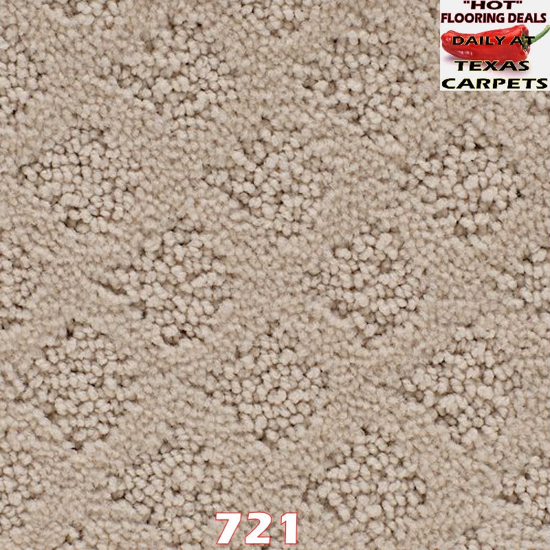 Classic Style Mohawk Texas Carpets