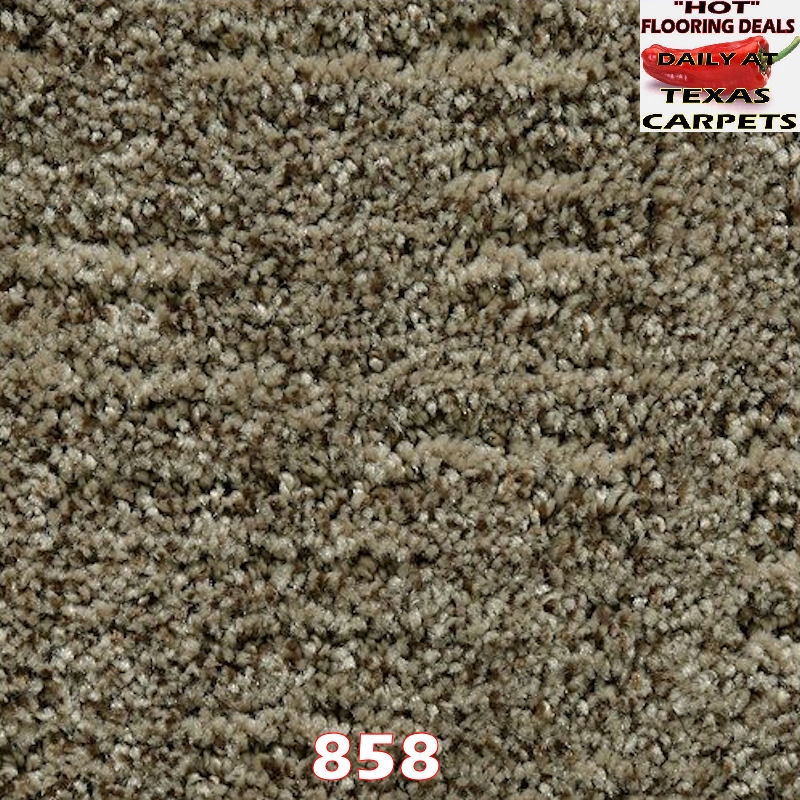 Random Nature Mohawk Texas Carpets