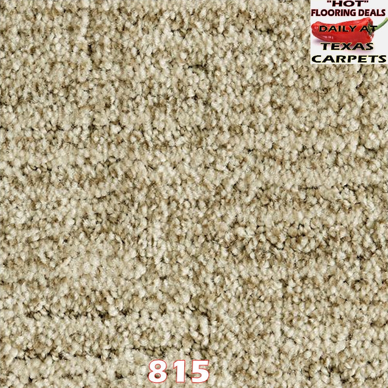 Random Nature Mohawk Texas Carpets