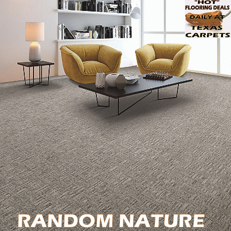 Random Nature Mohawk Texas Carpets