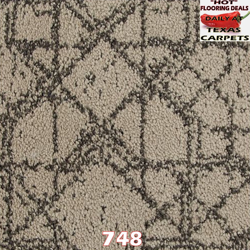 Exquisite Craft Mohawk Texas Carpets