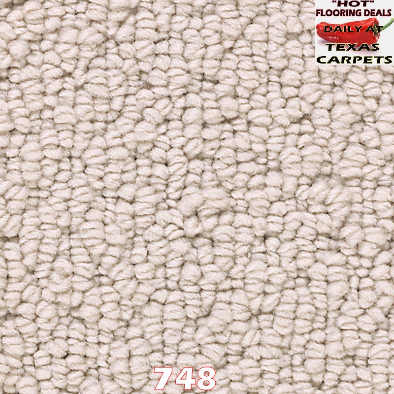 Tailored Essence Mohawk Texas Carpets