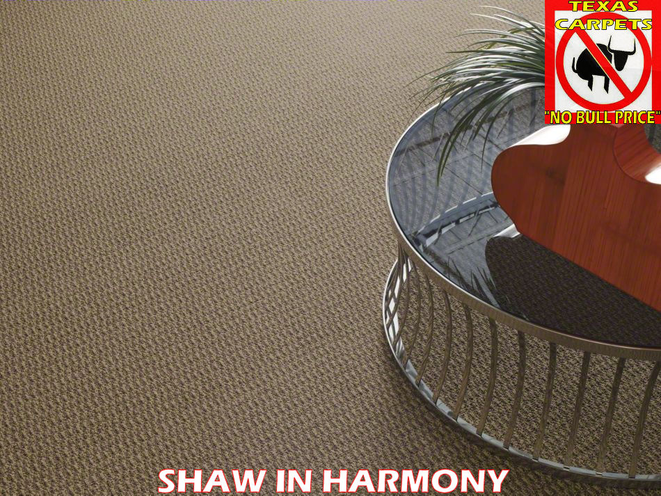 In Harmony Shaw Texas Carpets