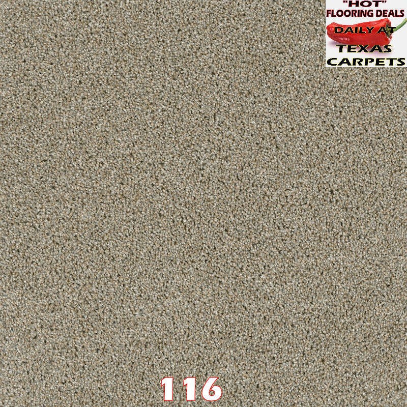 Rave Review Dreamweaver Texas Carpets