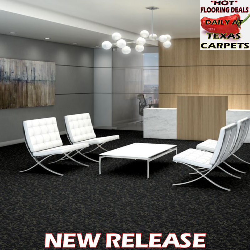Shaw New Release