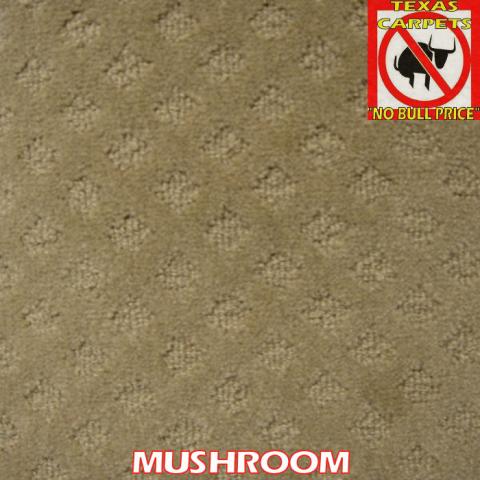 SHAHEEN COVENTRY