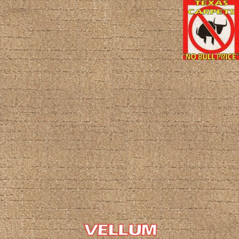 SHAHEEN CAMELOT