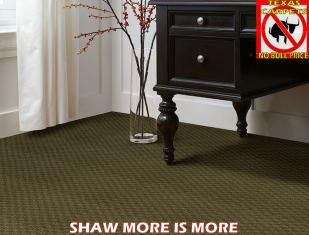 SHAW MORE IS MORE