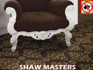 SHAW MASTERS